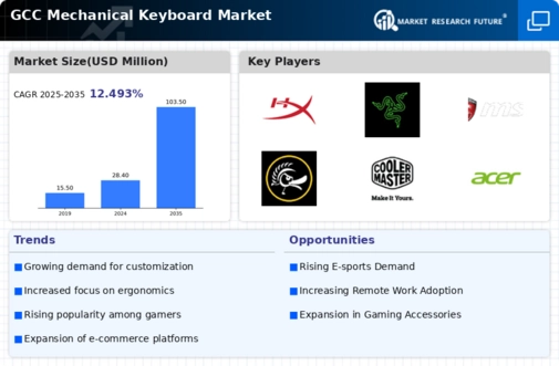 GCC Mechanical Keyboard Market Infographic