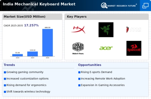 India Mechanical Keyboard Market Infographic