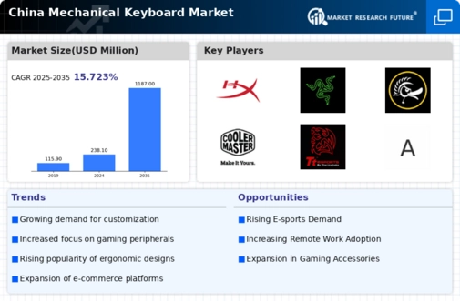China Mechanical Keyboard Market Infographic