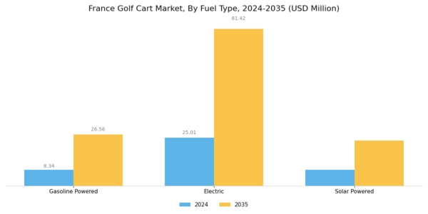 France Golf Cart Market Segment Image 1