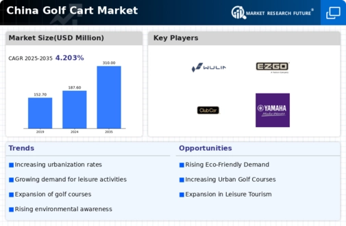 China Golf Cart Market Infographic