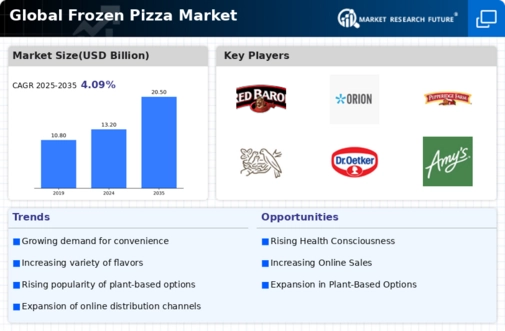 Frozen Pizza Market Infographic
