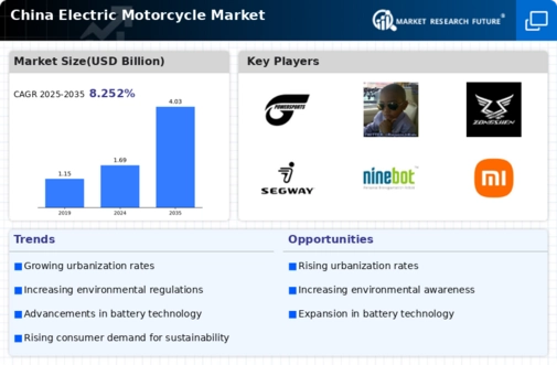 China Electric Motorcycle Market Infographic