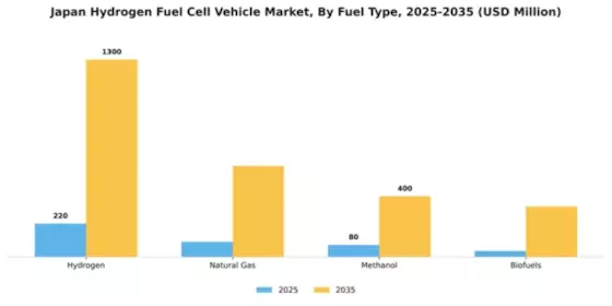 Japan Hydrogen Fuel Cell Vehicle Market Segment Image 2