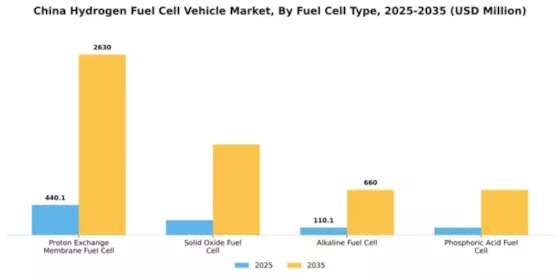 China Hydrogen Fuel Cell Vehicle Market Segment Image 2