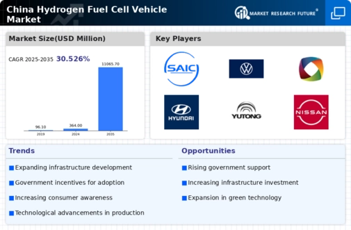 China Hydrogen Fuel Cell Vehicle Market Infographic