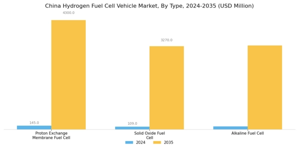 China Hydrogen Fuel Cell Vehicle Market Segment Image 0