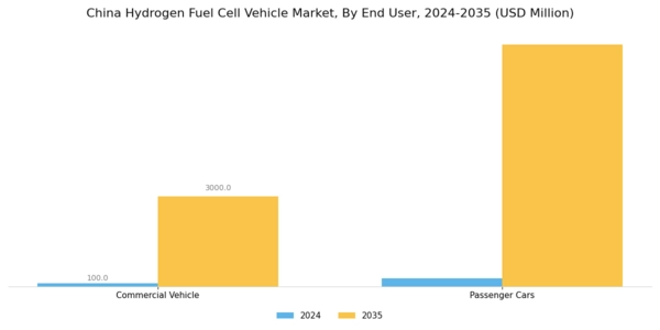 China Hydrogen Fuel Cell Vehicle Market Segment Image 1