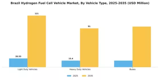 Brazil Hydrogen Fuel Cell Vehicle Market Segment Image 3