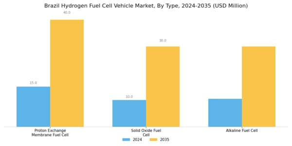 Brazil Hydrogen Fuel Cell Vehicle Market Segment Image 0