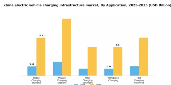 China Electric Vehicle Charging Infrastructure Market Segment Image 0