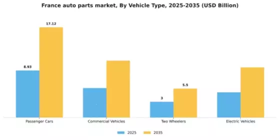 France Auto Parts Market Segment Image 3