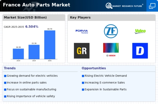 France Auto Parts Market Infographic