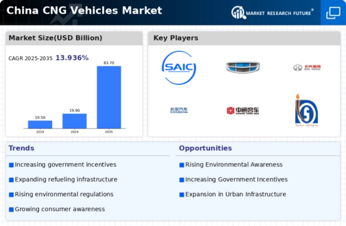 China Cng Vehicles Market Infographic