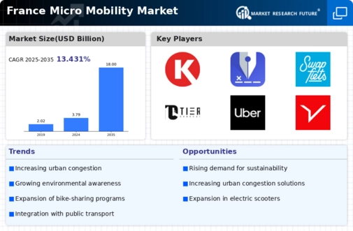 France Micro Mobility Market Infographic
