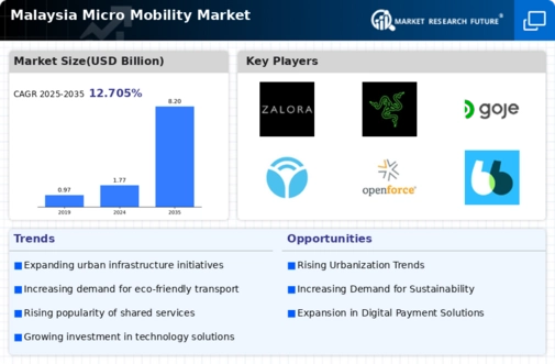 Malaysia Micro Mobility Market Infographic