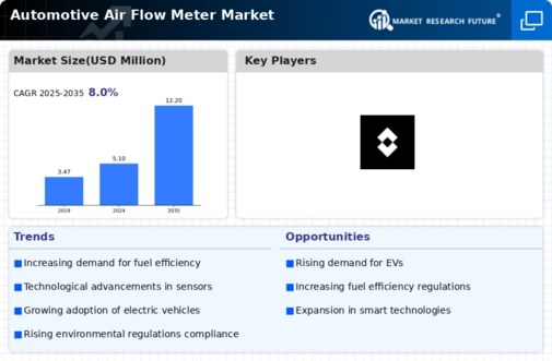 Automotive Air Flow Meter Market Infographic