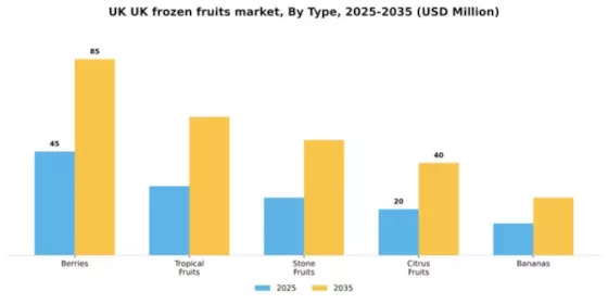 UK Frozen Fruits Market Segment Image 3