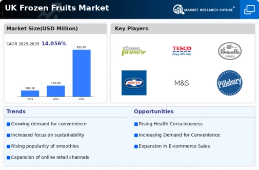 UK Frozen Fruits Market Infographic