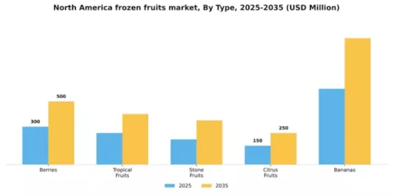 North America Frozen Fruits Market Segment Image 3