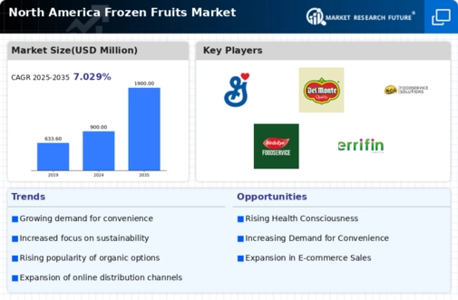 North America Frozen Fruits Market Infographic