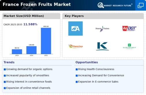 France Frozen Fruits Market Infographic