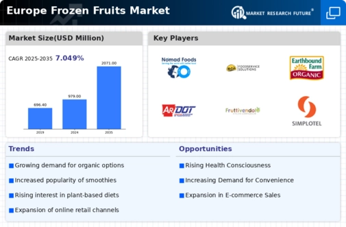 Europe Frozen Fruits Market Infographic