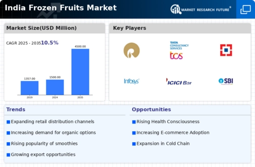 India Frozen Fruits Market Infographic