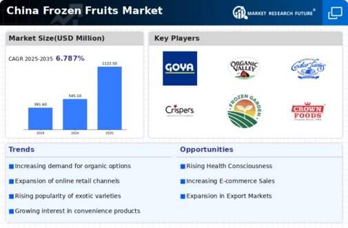 China Frozen Fruits Market Infographic