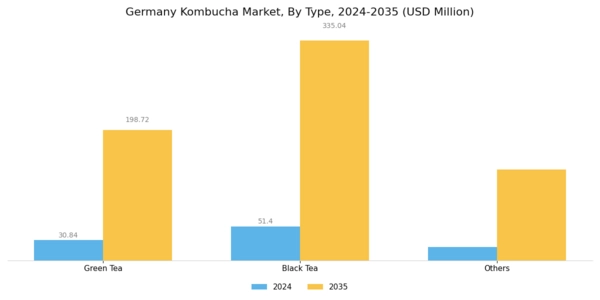 Germany Kombucha Market Segment Image 0