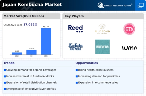 Japan Kombucha Market Infographic