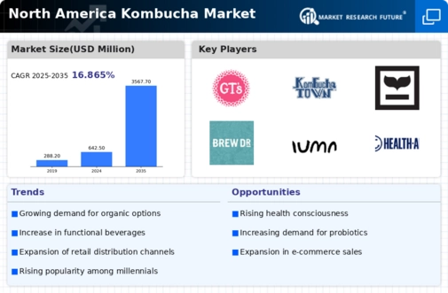 North America Kombucha Market Infographic