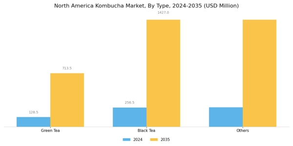 North America Kombucha Market Segment Image 0