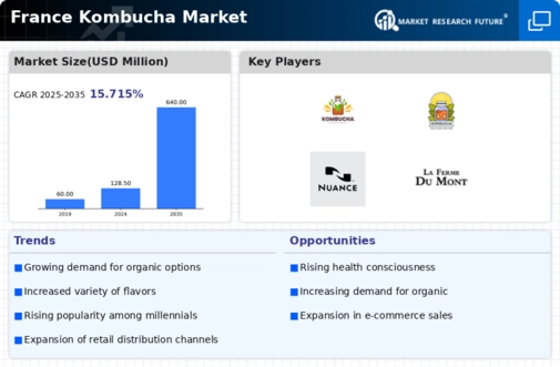 France Kombucha Market Infographic
