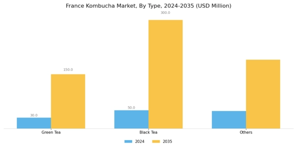 France Kombucha Market Segment Image 0