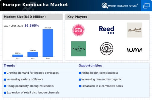 Europe Kombucha Market Infographic