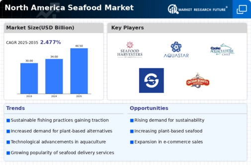 North America Seafood Market Infographic