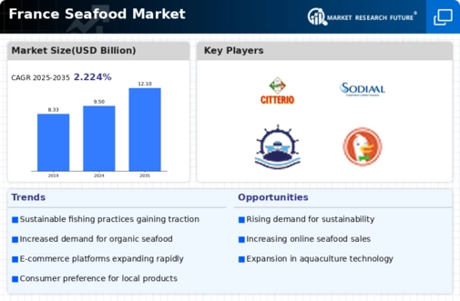 France Seafood Market Infographic