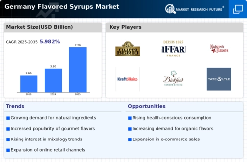 Germany Flavored Syrups Market Infographic