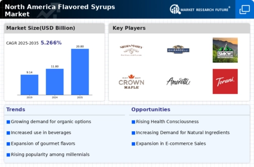 North America Flavored Syrups Market Infographic