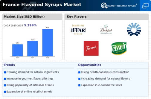 France Flavored Syrups Market Infographic