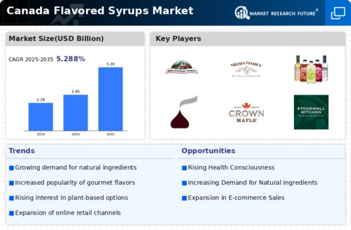Canada Flavored Syrups Market Infographic