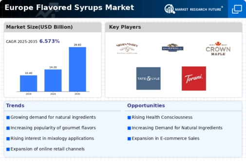 Europe Flavored Syrups Market Infographic