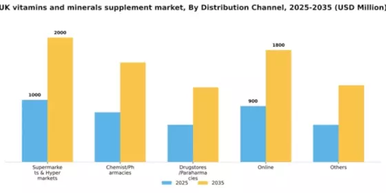 UK Vitamins Minerals Supplement Market Segment Image 1