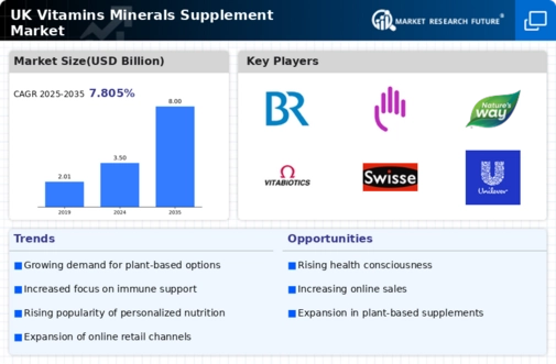 UK Vitamins Minerals Supplement Market Infographic