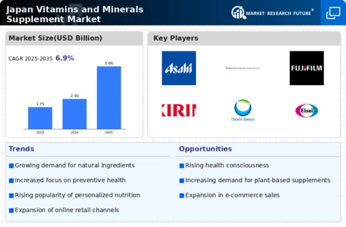 Japan Vitamins Minerals Supplement Market Infographic