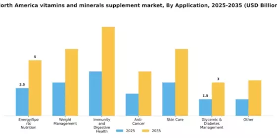 North America Vitamins Minerals Supplement Market Segment Image 0