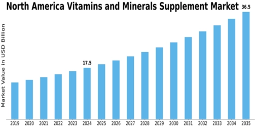 North America Vitamins Minerals Supplement Market Size