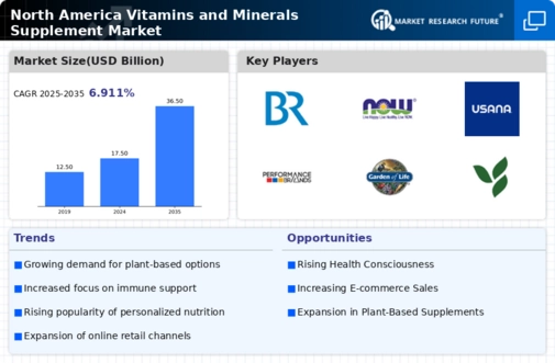 North America Vitamins Minerals Supplement Market Infographic