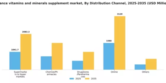 France Vitamins Minerals Supplement Market Segment Image 1